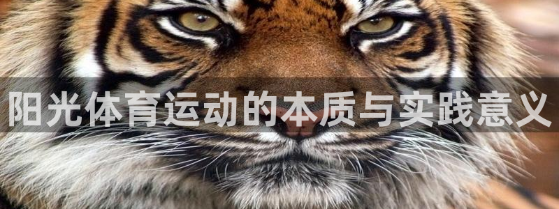 抖球体育：阳光体育运动的本质与实践意义