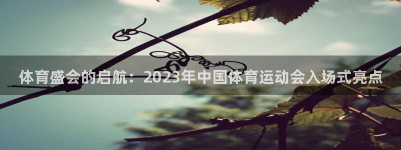 抖球体育：体育盛会的启航：2023年中国体育运动会入场式亮点