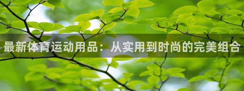 抖球体育app手机版免费：最新体育运动用品：从实用到时尚的完美组合