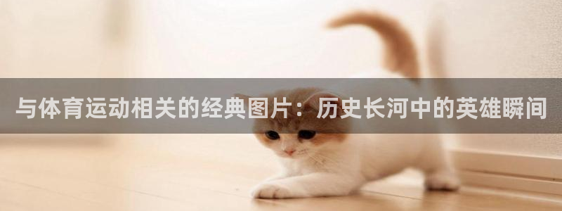 抖球体育app手机版免费：与体育运动相关的经典图片：历史长河中的英雄瞬间